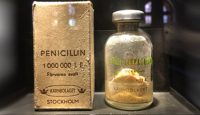 Medicamentos de Nobel: la penicilina