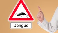 Día Internacional contra el Dengue
